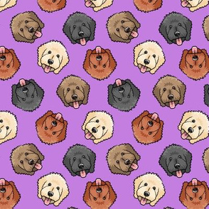 (small scale) all the doodles - cute goldendoodle dog breed - purple - LAD20