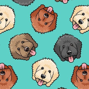 all the doodles - cute goldendoodle dog breed - teal -  LAD20