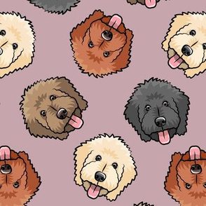 all the doodles - cute goldendoodle dog breed - mauve -  LAD20