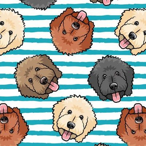 all the doodles - cute goldendoodle dog breed - blue stripes -  LAD20