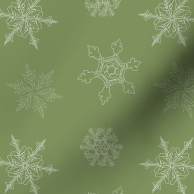 Winter Green Snowflake