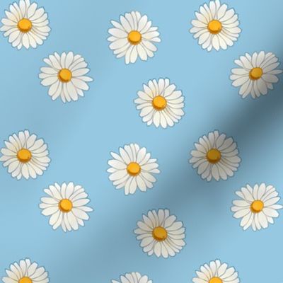 daisies on pastel blue