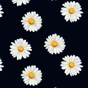 daisies on black