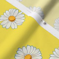 daisies on yellow