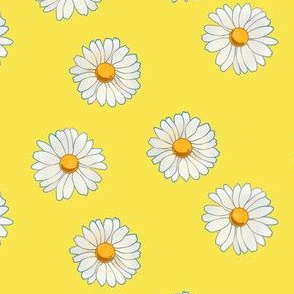 daisies on yellow