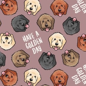 have a golden day - Goldendoodles - dog breed - mauve - LAD20