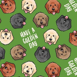 have a golden day - Goldendoodles - dog breed - prep green - LAD20