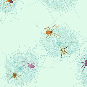 Colorful Spiders on Light Green Background
