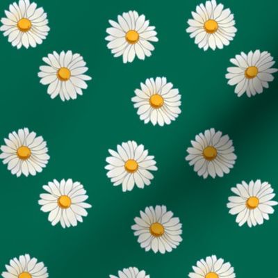 Daisies on dark green