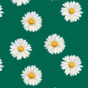 Daisies on dark green