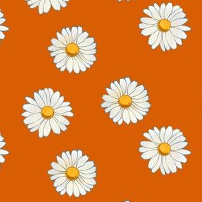 daisies on burnt orange