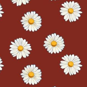 daisies on burnt sienna