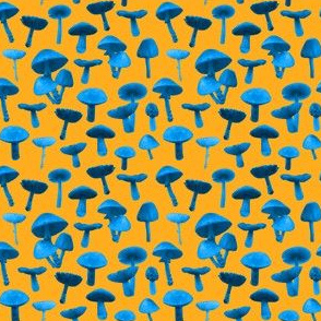 mushrooms real blue orange