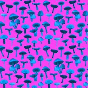 mushrooms real blue pink