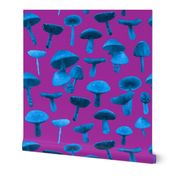 mushrooms real blue purple