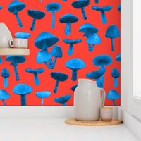 mushrooms real blue red