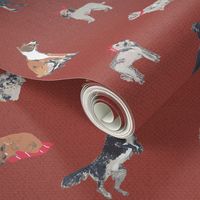 Dogs on linen textured terracotta 