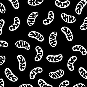 Mitochondria - White on Black