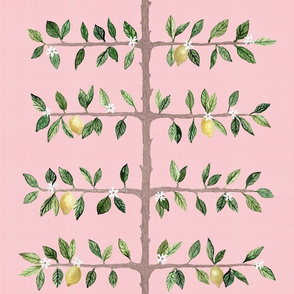 Pink green Espalier Branch with lemons