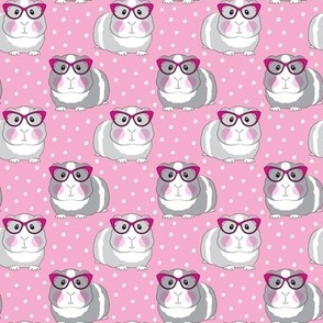 between small and medium hipster guinea pigs on pink