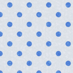 Distressed Fuzzy Blue Polka Dots