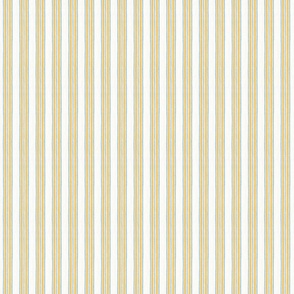 Marigold and Light Blue Anderson Stripe