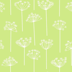 Anise Sketches - White on Green