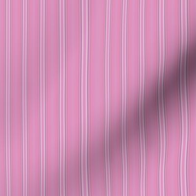 Pink Stripe © Gingezel™ 2012