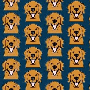 Golden Retrievers on blue