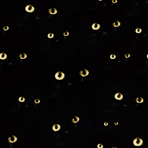 Black Cat Eyes oh My