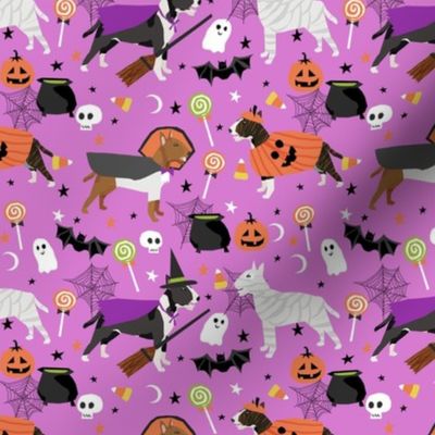 bull terrier halloween fabric - purple