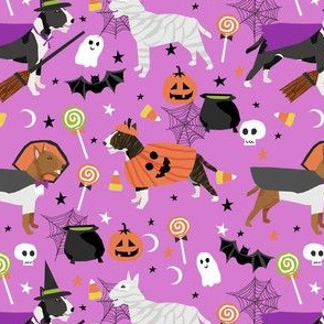 bull terrier halloween fabric - purple