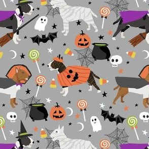 bull terrier halloween fabric -grey