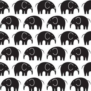 elephant train_white and black