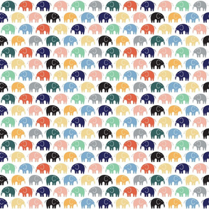 elephant train_multi colour