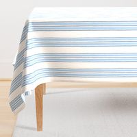 Blues Anderson Stripe