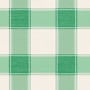 Rustic Gingham Kelly Green // large