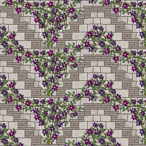 Clematis on walled steps resized  A7 flower 3 layers of flowers  G 24x12