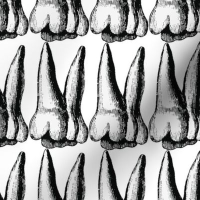teeth one direction black and white