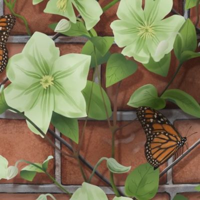 Clematis on Brick with Butterflies Chartreuse