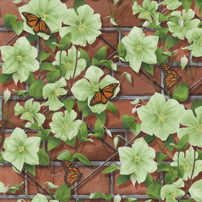 Clematis on Brick with Butterflies Chartreuse