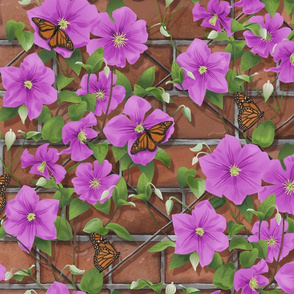 Clematis on Brick with Butterflies Magenta