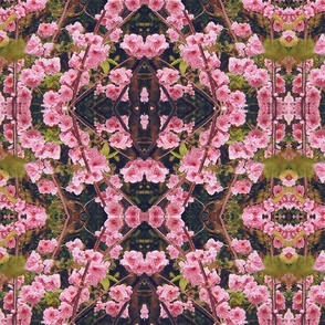 Branches of Spring Blossom - pink kaleidoscope 