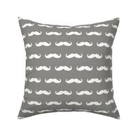 mustache grey