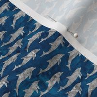(small scale) dolphins - nautical summer beach - watercolor grey on blue - LAD20BS