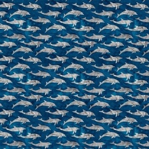 (small scale) dolphins - nautical summer beach - watercolor grey on blue - LAD20BS