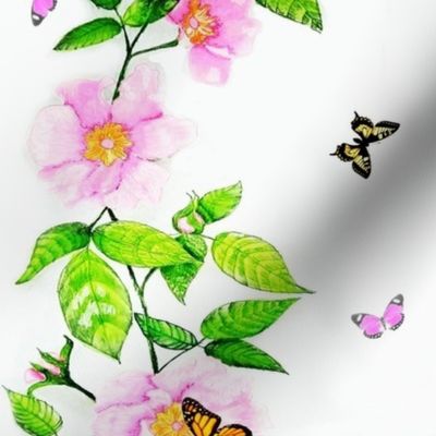 Pink Vine Rose and Butterflies