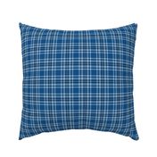 classic blue plaid micro