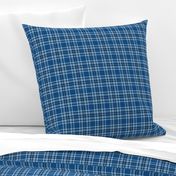 classic blue plaid micro