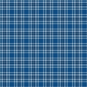 classic blue plaid micro